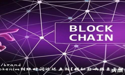 brand/brand
你的Tokenim到账时间迟迟未到？揭秘影响因素与解决方案
