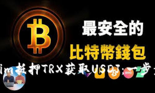 如何使用Tokenim抵押TRX获取USDJ：一步步教你玩转DeFi