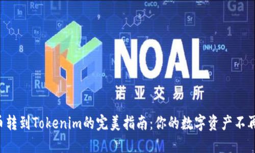 狗狗币转到Tokenim的完美指南：你的数字资产不再迷失！