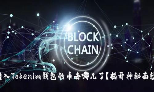 转入Tokenim钱包的币去哪儿了？揭开神秘面纱！