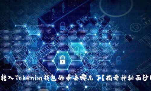 转入Tokenim钱包的币去哪儿了？揭开神秘面纱！