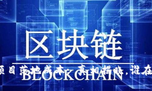 最新区块链项目落地成本: 真相揭晓，谁在主导这一切？