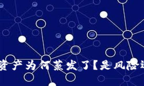 你的Tokenim资产为何蒸发了？是风险还是操作失误？