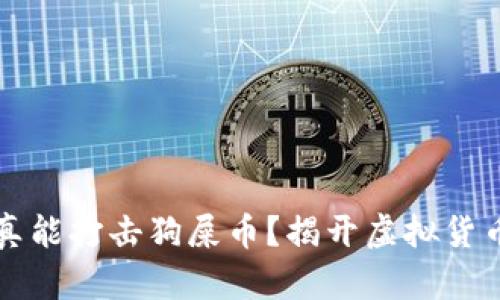 区块链能否真能打击狗屎币？揭开虚拟货币的美丽面纱