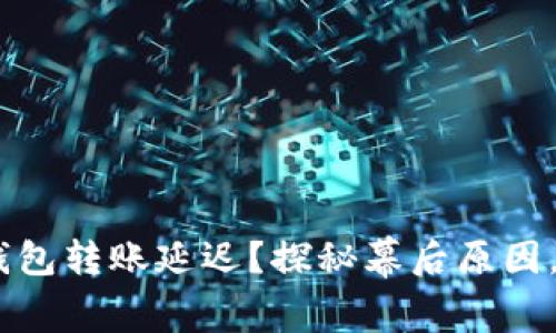 Tokenim钱包转账延迟？探秘幕后原因，揭开真相！