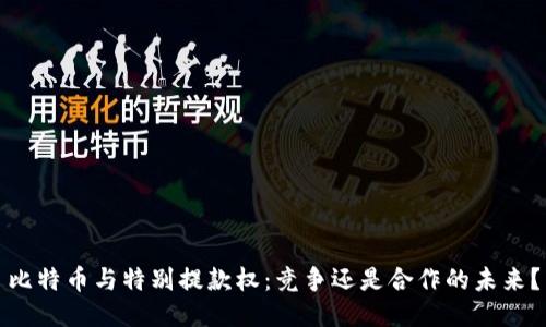比特币与特别提款权：竞争还是合作的未来？