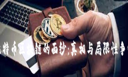 揭开比特币区块链的面纱：真相与局限性争锋相对