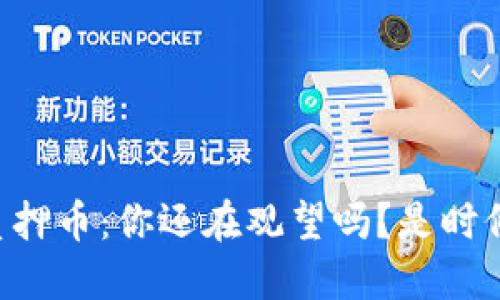 区块链质押币：你还在观望吗？是时候行动了！