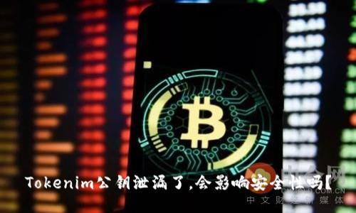 Tokenim公钥泄漏了，会影响安全性吗？