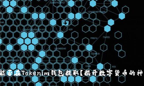 奇亚币能否在Tokenim钱包提取？揭开数字货币的神秘面纱！