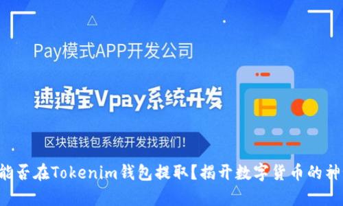 奇亚币能否在Tokenim钱包提取？揭开数字货币的神秘面纱！