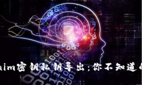 揭秘Tokenim密钥私钥导出：你不知道的关键作用