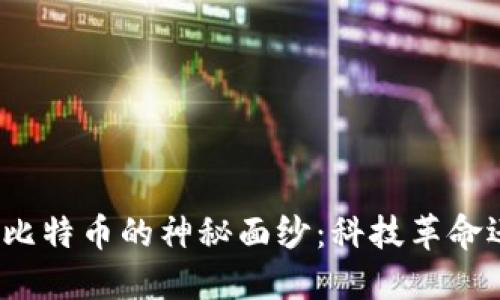 揭开区块链与比特币的神秘面纱：科技革命还是投机陷阱？
