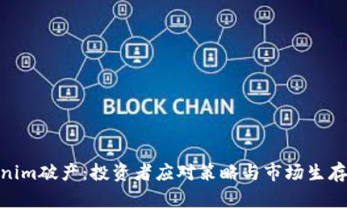 Tokenim破产：投资者应对策略与市场生存之道
