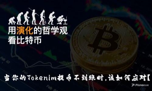 当你的Tokenim提币不到账时，该如何应对？
