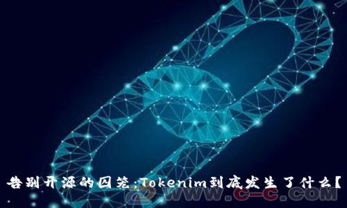 告别开源的囚笼：Tokenim到底发生了什么？