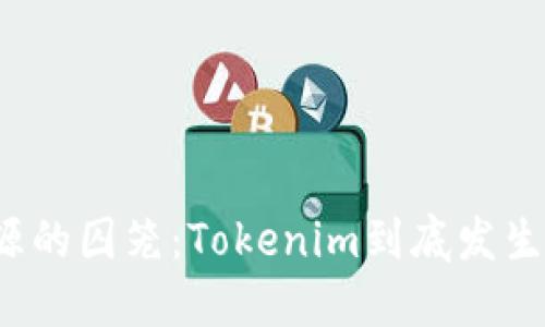 告别开源的囚笼：Tokenim到底发生了什么？