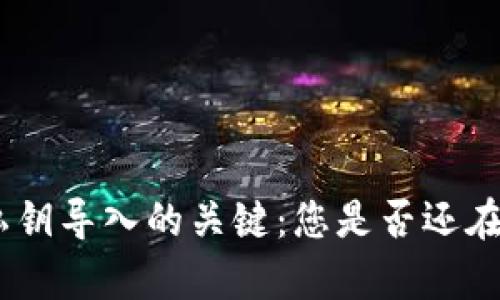 轻松掌握Tokenim私钥导入的关键：您是否还在为复杂操作而烦恼？