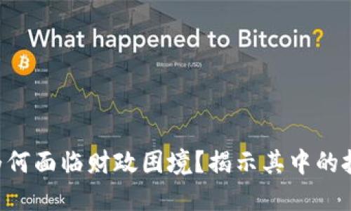 Tokenim为何面临财政困境？揭示其中的挑战与机遇