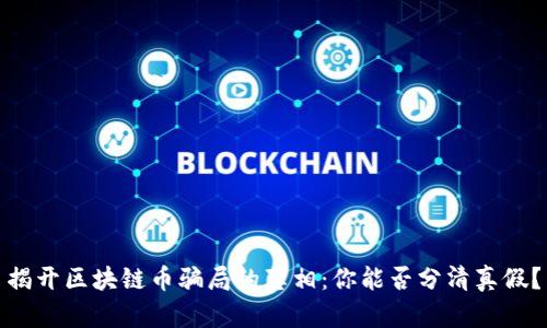 揭开区块链币骗局的真相：你能否分清真假？