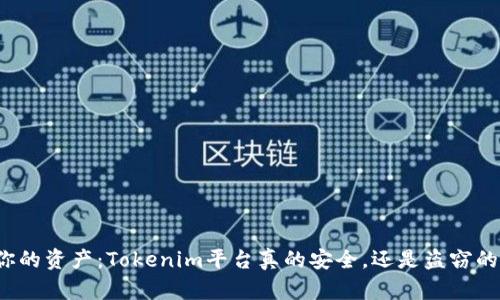 保护你的资产：Tokenim平台真的安全，还是盗窃的温床？