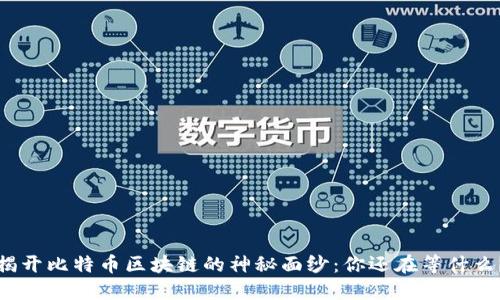 揭开比特币区块链的神秘面纱：你还在等什么？