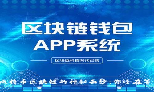 揭开比特币区块链的神秘面纱：你还在等什么？