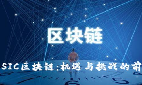 瑞士币SIC区块链：机遇与挑战的前沿探讨