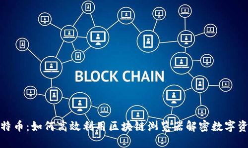 探索莱特币：如何高效利用区块链浏览器解密数字资产世界