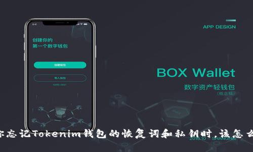 当你忘记Tokenim钱包的恢复词和私钥时，该怎么办？