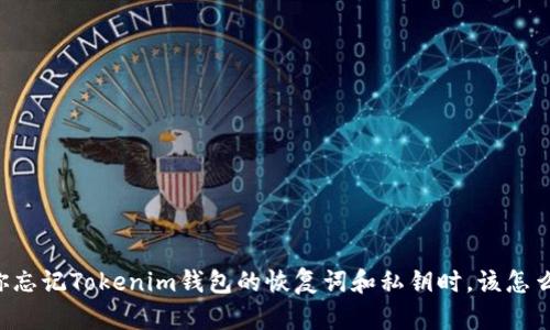 当你忘记Tokenim钱包的恢复词和私钥时，该怎么办？