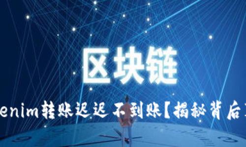 为什么你的Tokenim转账迟迟不到账？揭秘背后真相与解决方案