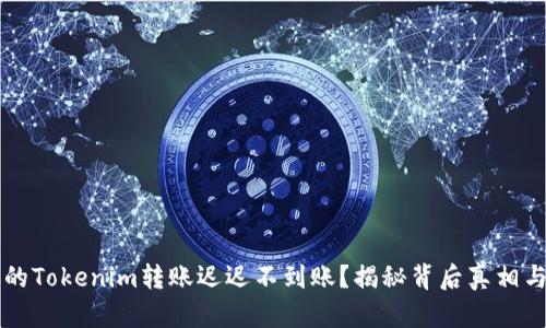为什么你的Tokenim转账迟迟不到账？揭秘背后真相与解决方案