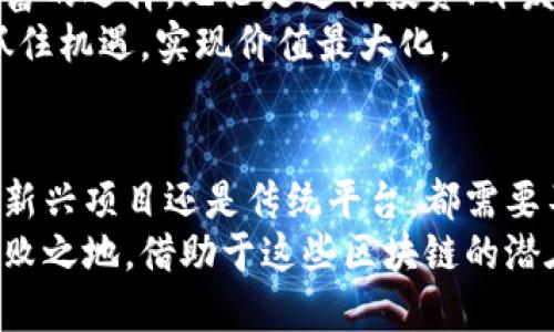 在加密货币和区块链技术日益发展的今天，币圈的区块链品类繁多，各种不同的项目和平台层出不穷。了解这些区块链不仅有助于投资决策，也能帮助我们更好地把握数字货币的未来趋势。以下是一些主要的区块链平台及其特点。

1. 比特币（Bitcoin）
比特币是第一个也是最著名的区块链，它由一个化名为中本聪的个人或团队在2009年创建。比特币的核心是去中心化交易，任何人都可以参与其网络，进行交易并维护系统的安全。
这种区块链采用工作量证明机制（PoW），通过“挖矿”来维护网络的安全和交易验证。比特币不仅是一种数字货币，更是数字黄金，被许多人视作价值储存工具。

2. 以太坊（Ethereum）
以太坊创立于2015年，是一个去中心化的平台，允许开发者构建和部署智能合约及去中心化应用（dApps）。以太坊使用名为Ether的代币进行交易，推动了整个生态系统的生长。
以太坊的独特之处在于，其支持编程语言，允许开发者创建复杂的合约和应用，使得区块链的应用超越了简单的货币交易。近期，以太坊2.0的升级计划也在不断推进中，旨在提高网络的可扩展性和效率。

3. 波卡（Polkadot）
波卡是一个旨在实现不同区块链之间互操作性的项目。它通过一个叫“平行链”的结构，使各个区块链可以高速、安全地互相交流和共享信息。波卡的创始人是Ethereum的共同创始人之一Gavin Wood。
这个机制不仅提高了跨链通信的效率，还为各类区块链项目提供了一个灵活的架构，让开发者能够充分发挥他们的创造力。

4. Chainlink
Chainlink是一个去中心化的预言机网络，旨在为区块链提供来自外部世界的数据。比如，智能合约在执行时需要实时价格数据，Chainlink可以安全可靠地将这些数据提供给合约。
这个平台的存在极大地拓展了区块链的应用场景，使智能合约能适应更多的现实世界情境，带来了创新的可能性。

5. 柚子链（EOS）
EOS是一种以高吞吐量和用户友好性著称的区块链平台。它确保能够处理大量交易，具备很高的扩展性，并且开发者可以在该平台上轻松构建应用。
EOS还引入了代表性治理机制，让持币者能够参与网络的决策过程，提升了社区的参与感和共识力度。

6. 唯链（VeChain）
唯链主要聚焦于企业级解决方案，特别是在供应链管理方面。它通过为货物赋予数字身份，允许企业追踪和验证产品在整个供应链中的流动。
这种区块链的目标是提高透明度和效率，加强对每一个环节的信任，同时也为企业在数字化转型中提供了支持。

7. 基于ERC20的代币（例如USDT）
ERC20是以太坊网络上的一种代币标准。众多项目选择在以太坊上发行自己的代币，例如“泰达币（USDT）”等稳定币。稳定币旨在减少价格波动，实现更稳定的交易体验。
它们在数字资产交易中发挥了至关重要的作用，使投资者能够更方便地在加密货币与法币之间进行转换。

8. 星云链（Nebulas）
星云链致力于打造去中心化搜索引擎和区块链服务平台。其目标是通过算法和智能合约为用户提供更为灵活的数据服务，鼓励创造性的开发。
该项目的创新特点是允许用户对数据进行更好的管理和搜索，拥抱更广泛的数据生态系统。

9. 其他新兴区块链
除上述知名项目外，币圈内还涌现出许多新兴的区块链技术，如Cardano、Algorand等。这些平台各具特色，涵盖了去中心化金融、NFT、游戏等多个领域。
随着区块链技术的不断发展，未来可能会出现更多更具创意和实用性的项目，它们会进一步丰富整个数字货币的生态系统。

总结
币圈的区块链技术正处于快速发展的阶段，各种不同的平台和项目各具特色，为广大用户提供了丰富的选择。无论是进行投资、开发应用还是进行学术研究，了解这些区块链的基本特性及其应用场景都显得尤为重要。
随着技术的演进，未来的数字货币世界将更加多元化，投资者和开发者都将应及时拥抱这些变化，抓住机遇，实现价值最大化。

展望未来
展望未来，技术的不断演进和用户需求的日益多样化将使得区块链平台继续拓展新的界限。无论是新兴项目还是传统平台，都需要不断创新，适应市场的变化，以满足用户不断增长的需求。
而投资者也应保持谨慎，深入研究每一个项目的基础，确保自己能在这个快速变动的世界中立于不败之地。借助于这些区块链的潜在力量，未来可能会迎来更加美好的数字货币生态。