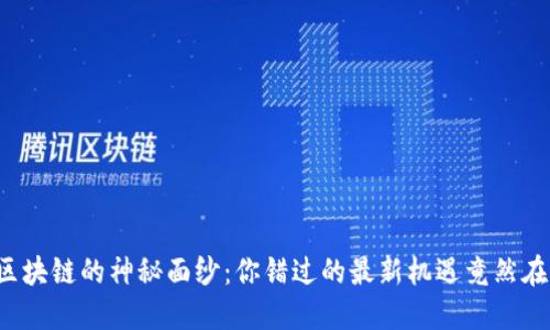 揭开区块链的神秘面纱：你错过的最新机遇竟然在这里！