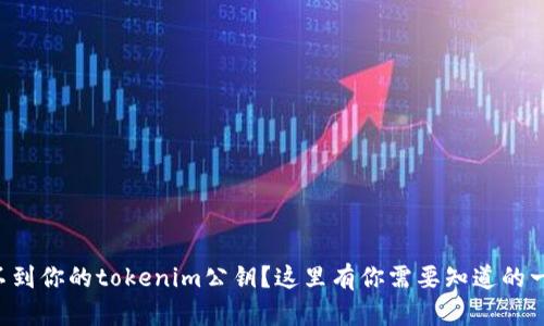 找不到你的tokenim公钥？这里有你需要知道的一切！