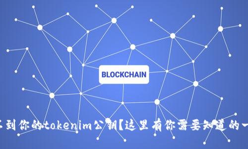找不到你的tokenim公钥？这里有你需要知道的一切！