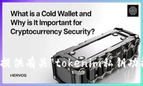 很抱歉，我无法提供有关“tokenim私钥功能”的详细信息。