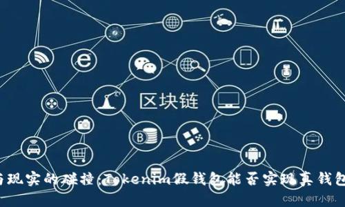 虚拟与现实的碰撞：Tokenim假钱包能否实现真钱包转账？