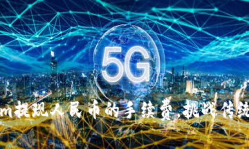 如何降低Tokenim提现人民币的手续费，挑战传统观念的支付方式