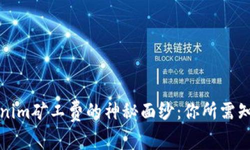 揭开Tokenim矿工费的神秘面纱：你所需知道的一切
