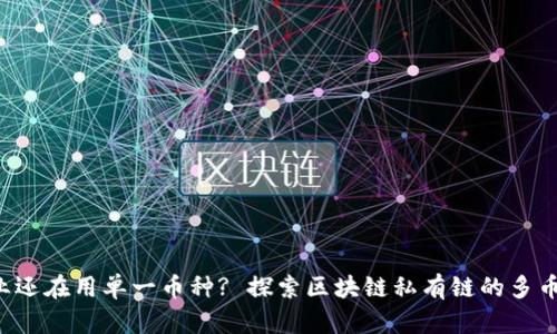 你的企业还在用单一币种? 探索区块链私有链的多币种革命!