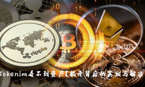 你在Tokenim看不到资产？揭开背后的真相与解决方案！