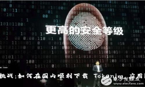 挑战：如何在国内顺利下载 Tokenim 应用？