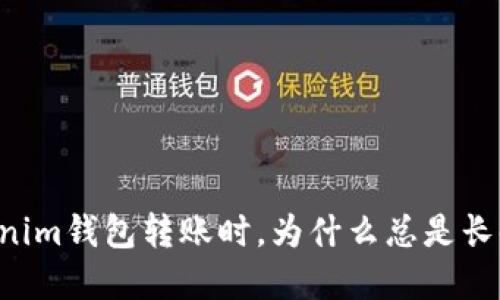 当你在Tokenim钱包转账时，为什么总是长时间未打包？