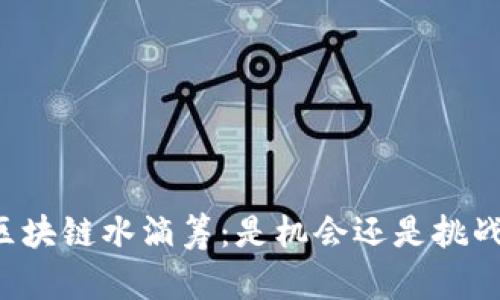 区块链水滴筹：是机会还是挑战？