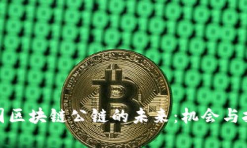 探寻中国区块链公链的未来：机会与挑战并存